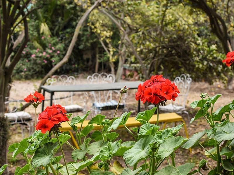 Casa Campo Lindo Ольмуе Екстер'єр фото